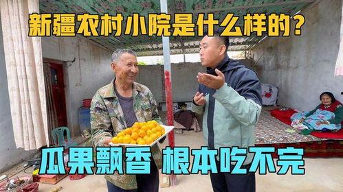 乡下小院吃瓜视频大全最新,揭秘小院吃瓜视频大全的甜蜜诱惑