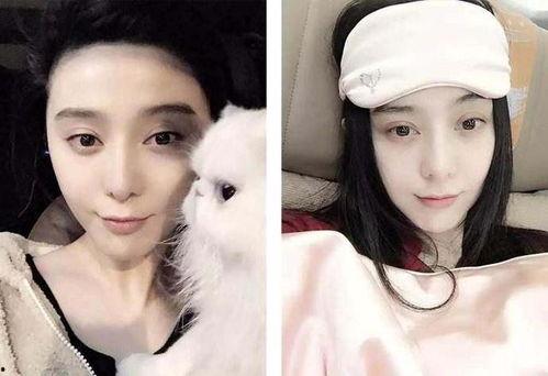 刘姓女明星吃瓜视频大全,吃瓜视频大盘点，揭秘娱乐圈幕后故事