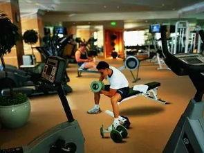 全民健身房吃瓜视频,吃瓜视频揭秘健身圈幕后故事