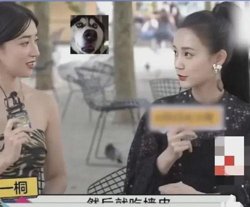 采访明星吃瓜视频是真的吗,真相还是炒作？