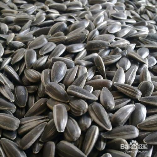 吃瓜和瓜子视频,瓜子视频带你领略娱乐盛宴