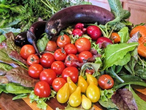 瓜爸和黑妈吃黑蒜视频,探寻健康美味新体验